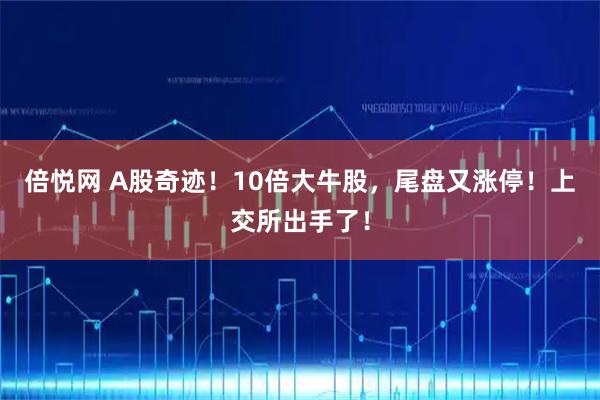 倍悦网 A股奇迹！10倍大牛股，尾盘又涨停！上交所出手了！