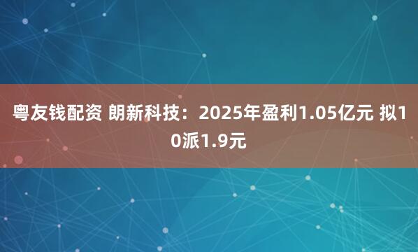 粤友钱配资 朗新科技:2025年盈利1.05亿元 拟10派1.9元