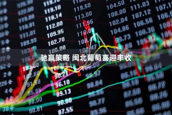驰赢策略 闽北葡萄喜迎丰收