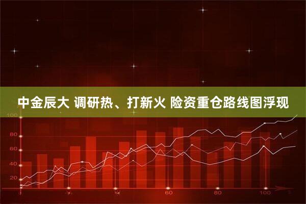 中金辰大 调研热、打新火 险资重仓路线图浮现